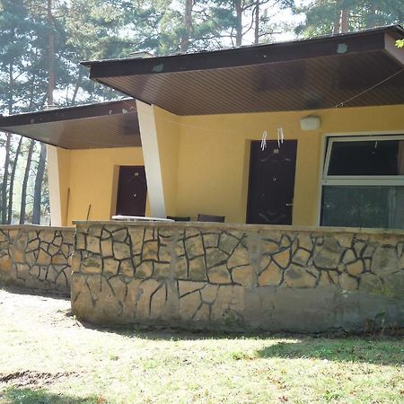 Osrodek Wypoczynkowy Jelonek Otel Wolsztyn Dış mekan fotoğraf